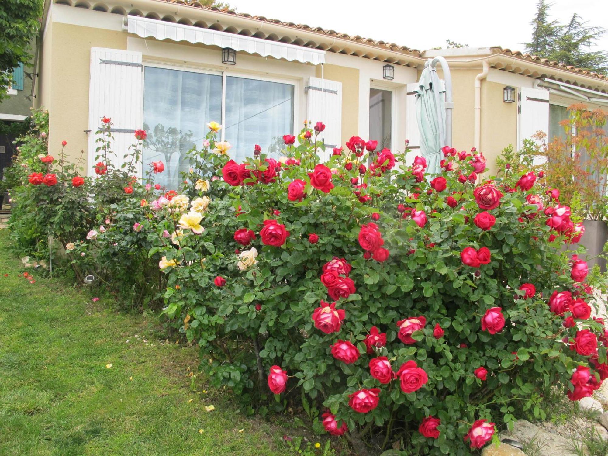 Lou Cardalines Bed and Breakfast Bédoin Eksteriør billede